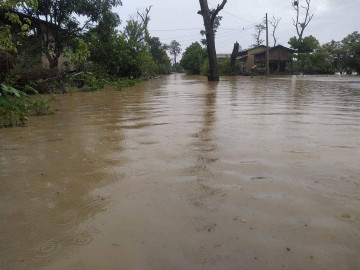 लगातारको वर्षाका कारण कैलालीका विभिन्न क्षेत्र डुवानमा 